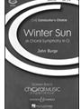 Winter Sun