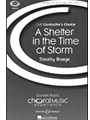 Shelter In The Time Of Storm