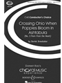 Crossing Ohio When Poppies Bloom In....