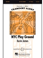 Nyc Play Ground