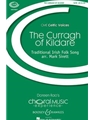 Curragh Of Kildare