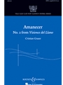 Amanecer  (#2 Visiones Del Llano)
