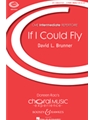 If I Could Fly