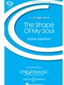 Shape of My Soul