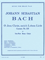 Cantata No 118 Brass Ensemble Sc/pts Mfb 61