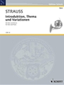 Introduction Theme & Variation