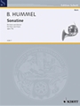 Sonatina  Opus 75a