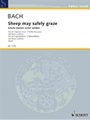 Sheep May Safely Graze  Bwv208