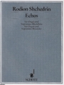 Echos Organ/sopranino Recorder