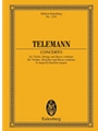 Violin Concerto in G Major