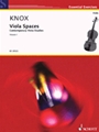 Viola Spaces  Volume 1