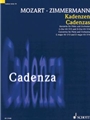 Cadenzas - Concertos for Flute and Orchestra  G Major KV 313 and D Major KV 314