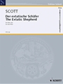 Scott Exstatic Shepherd Solo Flute