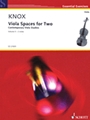 Viola Spaces for Two