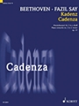 Cadenza to Beethoven Piano Concerto no 3 C minor Opus 37