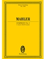 Symphony No. 2 in C Minor