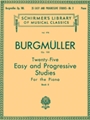 25 Easy & Progressive Studies Bk 2