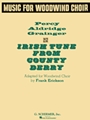 Irish Tune From County Derry