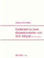 Cadenzas To 2 Mozart Concerti K 467/491