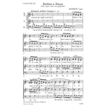 Szeles A Duna - STB/ATB A cappella Hungarian