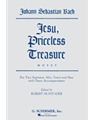 Jesu Priceless Treasure