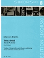 Trio in A Minor for Violin, Violoncello and Piano four-hands