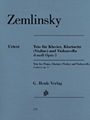 Trio for Piano, Clarinet (Violin) and Violoncello in D-minor Op. 3