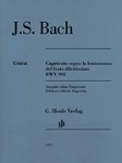 Capriccio Sopra La Lontananza Bwv 992