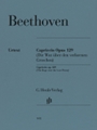 Capriccio in G major Op 129 (The Rage over the Lost Penny)
