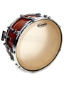 Evans Strata Staccato 1000 Concert Snare Drum Head, 14 Inch