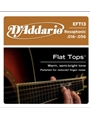 D'Addario EFT13 Flat Tops Phosphor Bronze Acoustic Guitar Strings, Resophonic Guitar, 16-56