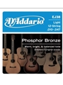 String--guitar  D'addario Phosphor Bronz - Light - Bronze Wound 12-stri