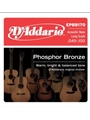 D'Addario EPBB170 Phosphor Bronze Acoustic Bass Strings, Long Scale, 45-100