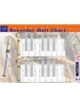 Recorder Wall Chart