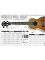 Poster--ukulele Wall Chart