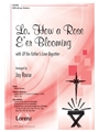 Lo How a Rose E'er Blooming