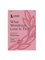 What Wondrous Love Is This