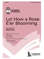 Lo How a Rose E'er Blooming