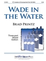 Wade In The Water