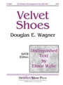 Velvet Shoes