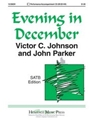 Evening In December