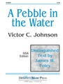 Pebble In The Water