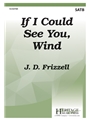 If I Could See You Wind