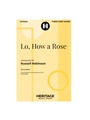 Lo How a Rose