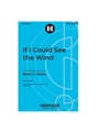 If I Could See the Wind