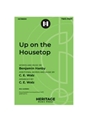 Up on the Housetop