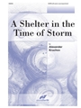 A Shelter in the Time of Storm