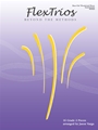 FlexTrios - Beyond The Methods (16 Pieces)