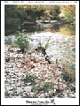 River In Judea