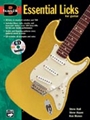 Basix Essential Licks For Guitar